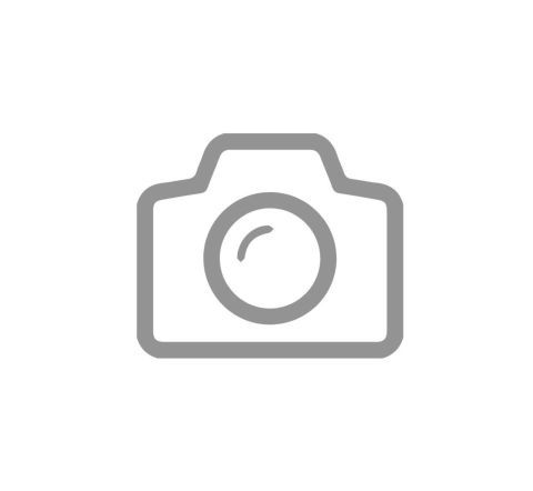 �������� ���������