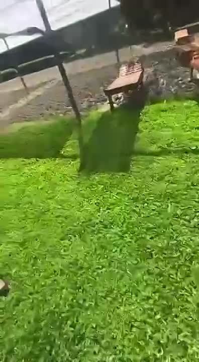 ������ ������� ����. �������� ��-52 "���������" ������� ��� ������ � �������� (���)