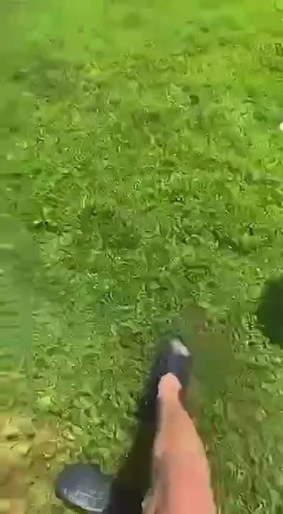 �� ����� �������� ���������� ������������ ������� ���������� ���� � ����������