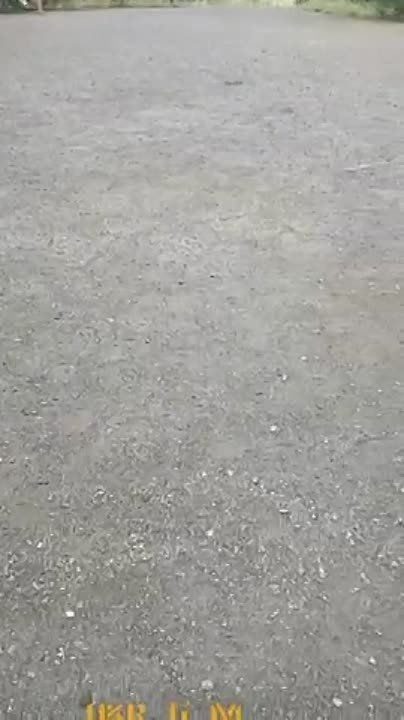 ������ ���������� ��� � ��������, ���