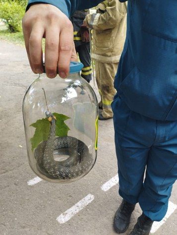 ��������� ������� ���� � ���������� �������� ���� � ��������