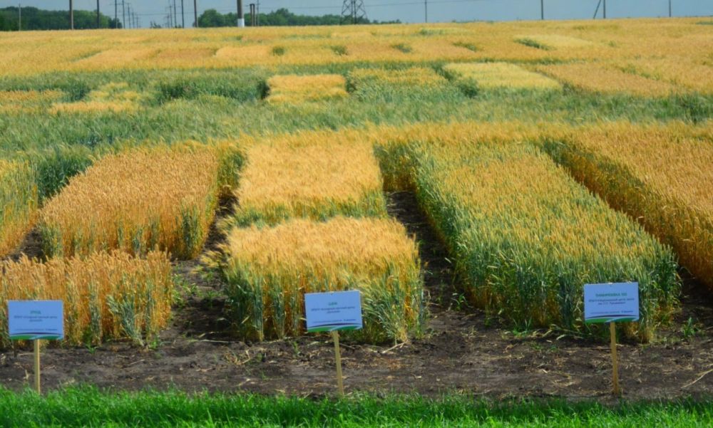 ������������� ��������� ���������� ���������������� ��������� ������������ ������� ���� ������� � ��� ������������ �������