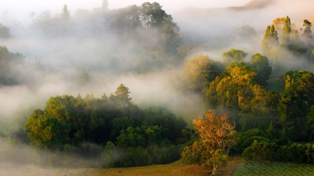 ������� ����� ��������� ������� �� ���������� ���������� ����� � ����� 24 ��������