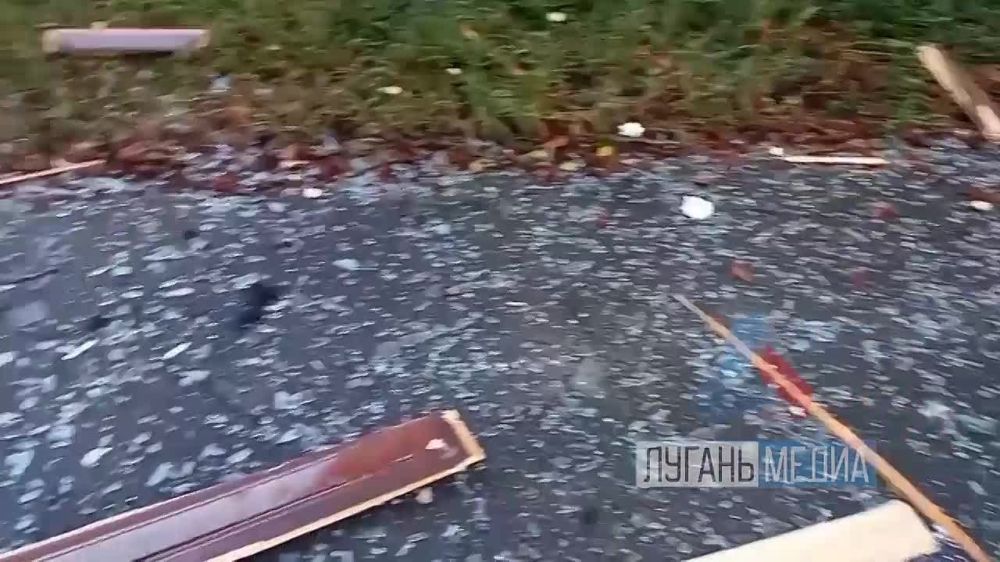 Ни капли человеческого. Первый день референдума запомнился алчевцам не только возможностью выразить свое мнение