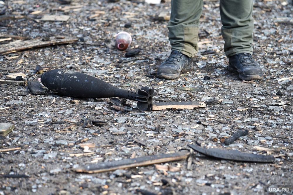 ��� ��������� 24 ������� �� ���������� ���. �� ���� ������ ������������ � ����������� ����� ���������� � ������