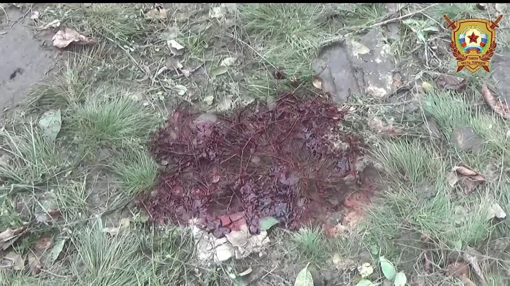 ����� 28.09.2022, ������� ����������� ������������ �������, �������� ���������� ���������������� ����, ����������� ������� �. ������� ���������� �. ������������