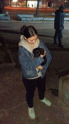 ���������� ��� ��� �������� �� ������������� ������� ����������� � �������� �������������� ���� �����