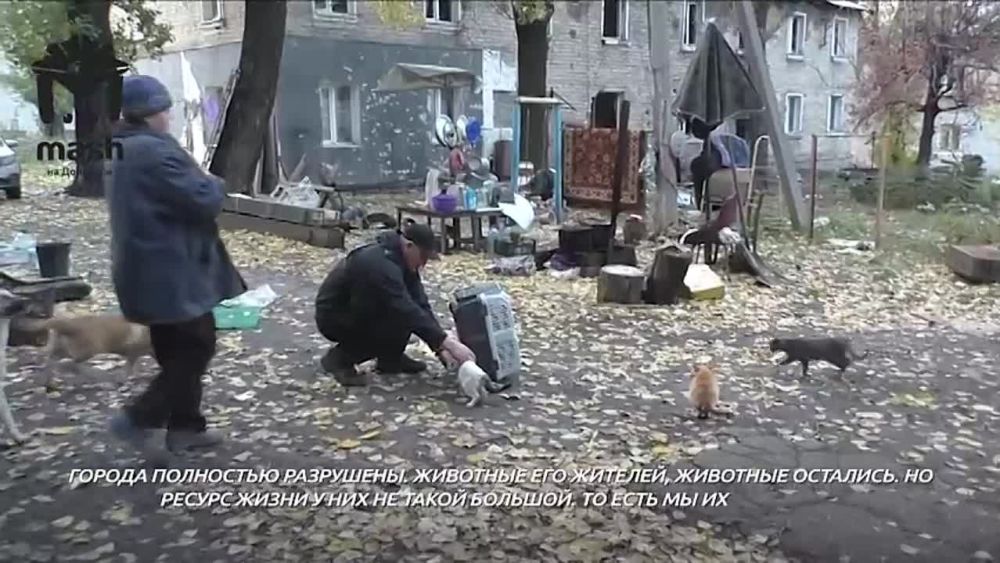 �������� ����� ������ � �� ��� ������� ����� � ����� ������