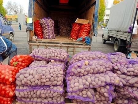 ����� 300 �������������������� ����������� ���� ��������� � �������� �� �������, ������������ �� ��� ��������� ��������