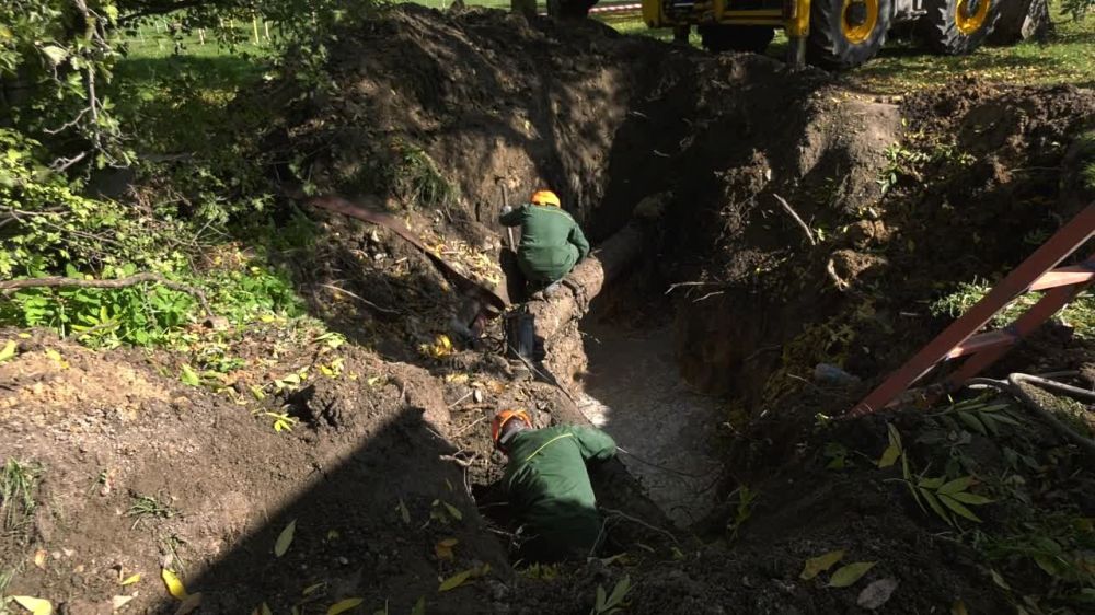 � ��� ������������ ������ �� ������� �������������