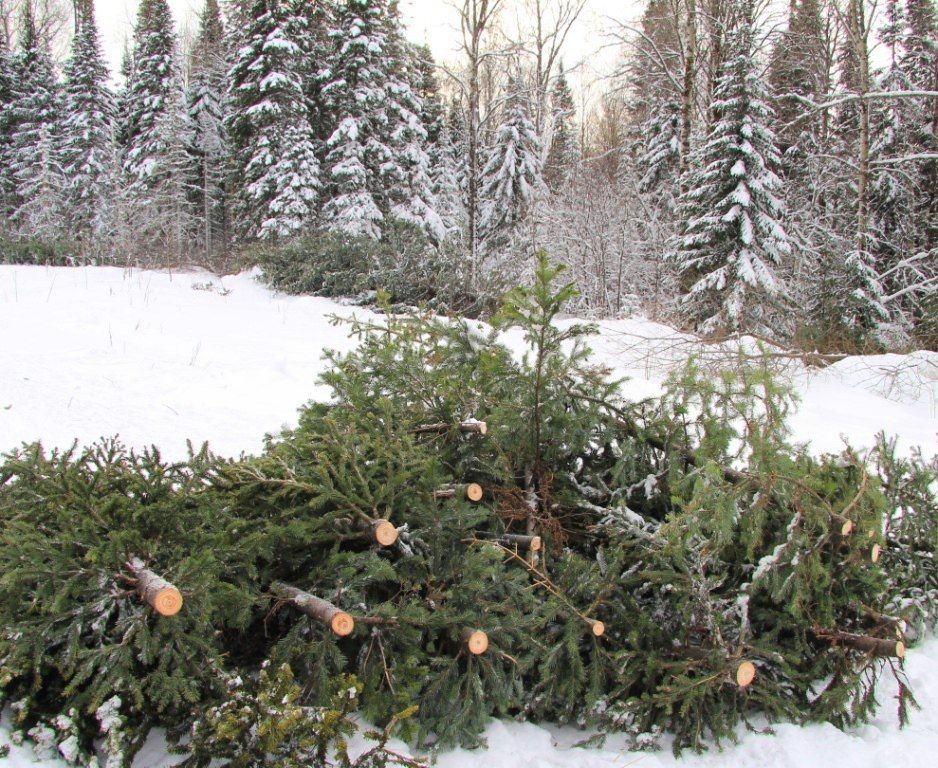 ������������� ������������� ��������� ��������� ���������� ������� � ������������� � ���������� ������������, �������� � ����������