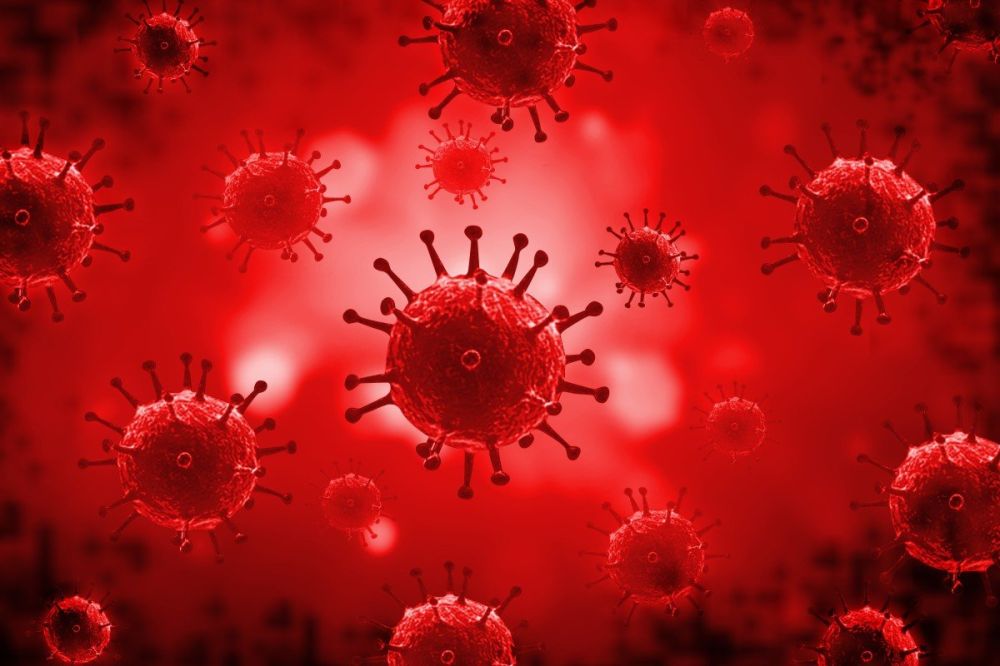 ������� �������������� ������� �������������� ��������� ���������� � ������� � ��� �� 26% ���� �������������� ������