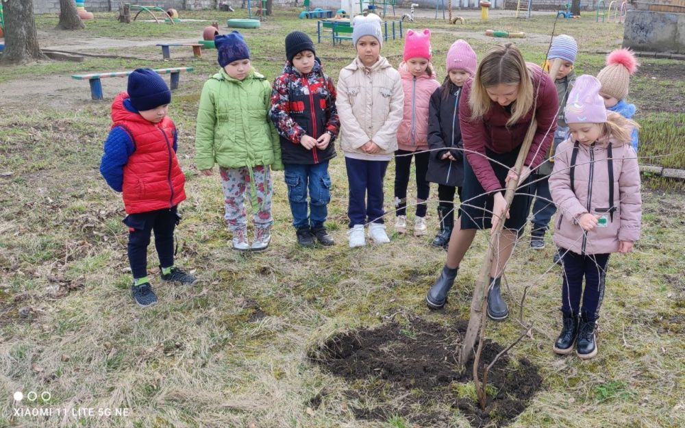 ��������� ���� ��� �21 "������� �������"������������� � ������������� ����� "��� ������"