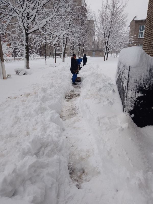 �������� ������ ���������� ��������������� ����������, ��������� �� �����������