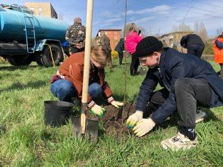11 апреля в алчевском Сквере 2 сентября продолжилась международная акция «Сад памяти», посвященная памяти 27 млн. человек, погибших в годы Великой Отечественной войны