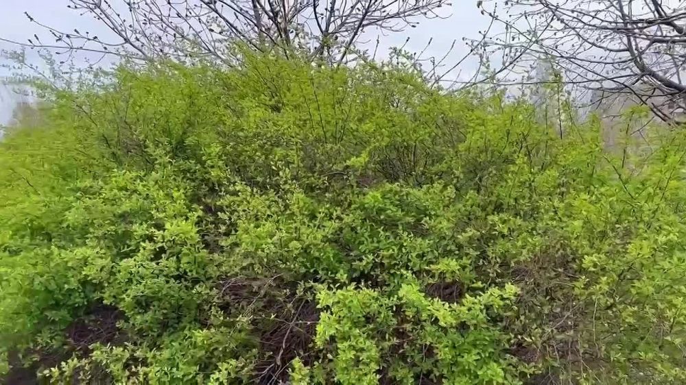 Видео с общереспубликанского субботника