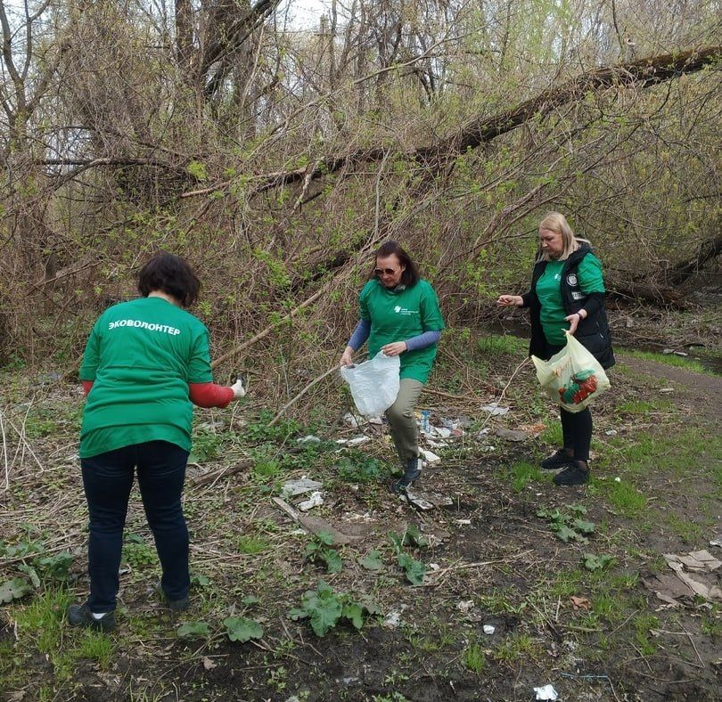 В рамках Дней экологической безопасности в городе Алчевске продолжается проведение акции «Чистая страна»