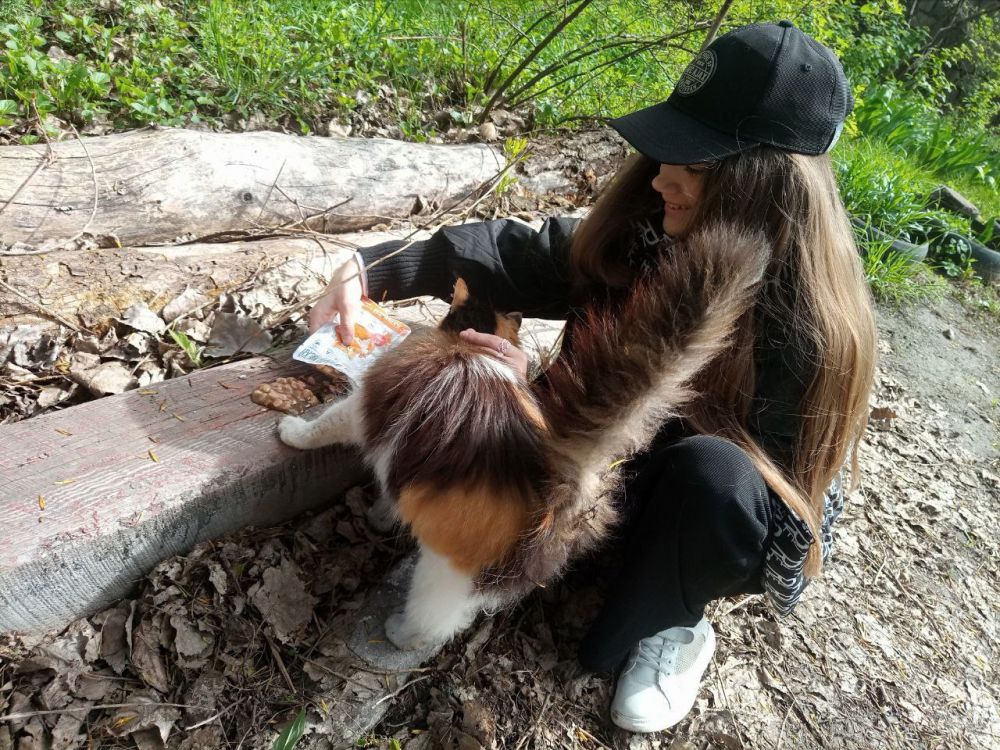 ������ ������ ������ ����