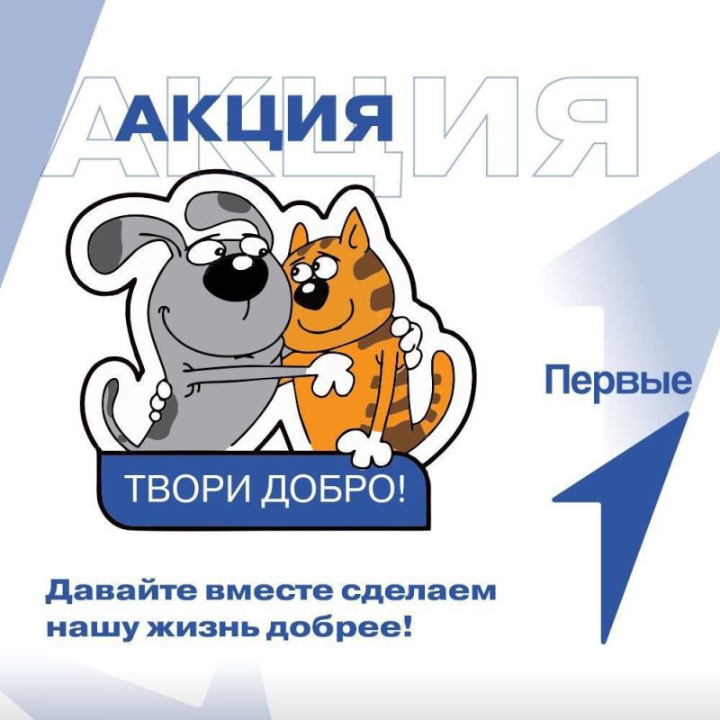 Активисты РДДМ «Движение первых» ГОУ ЛНР «АИТЛ»