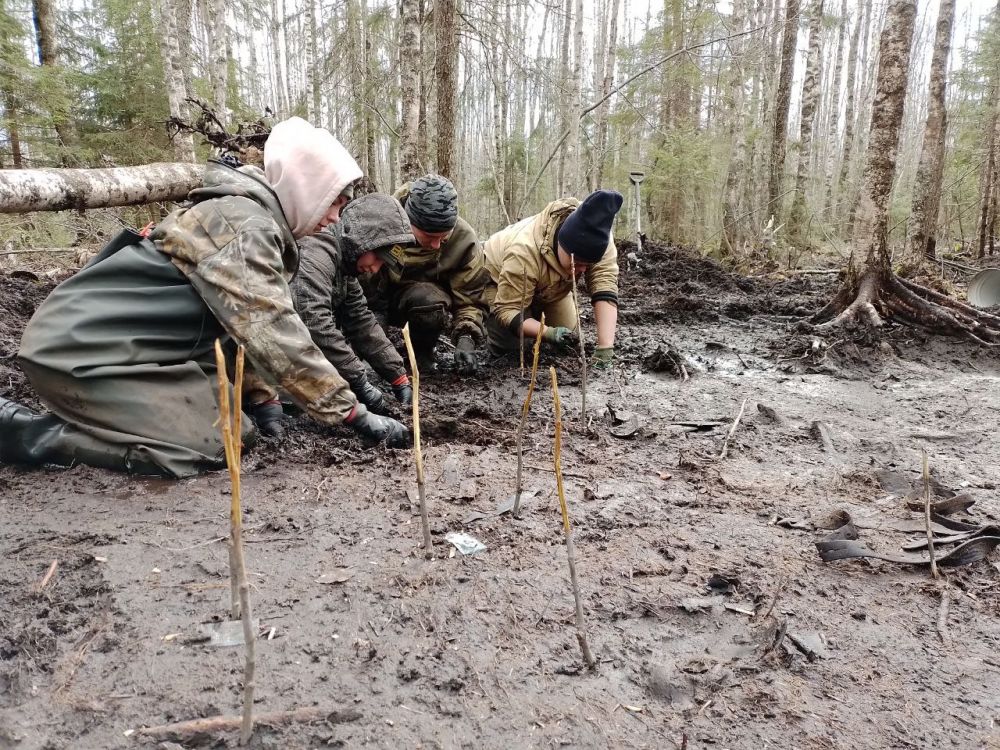 �������� ��� ������ ����������� ��������� ���������� ���������-2023� � ������������� �������