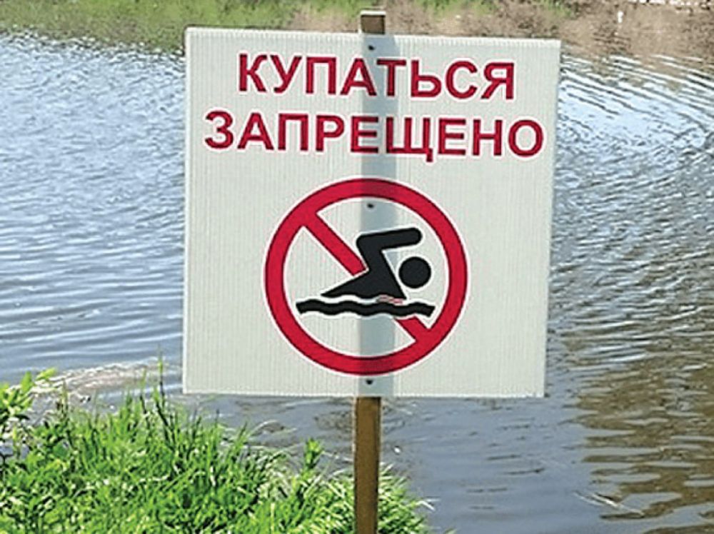 �������� ����������� ������������, ����������� ������������ ��������������� ������ ���������� ���������...