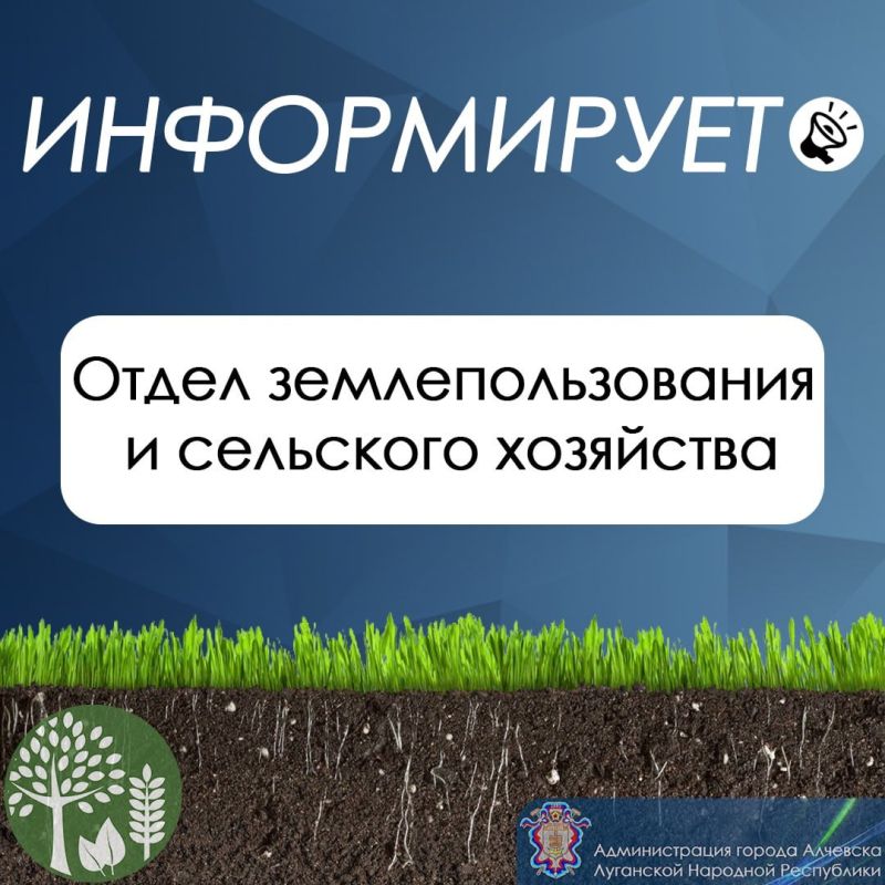 25 мая в рамках работы объекта инфраструктурной поддержки предпринимательства «Территория развития бизнеса города Алчевска...