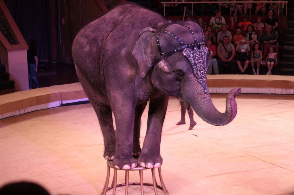 ������������ ������ ����������� ������ �������� ���� ��������� ������� ��������� � ����������� � ���������� ��������� ��...