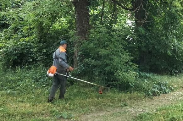 В Алчевске продолжаются работы по покосу травы