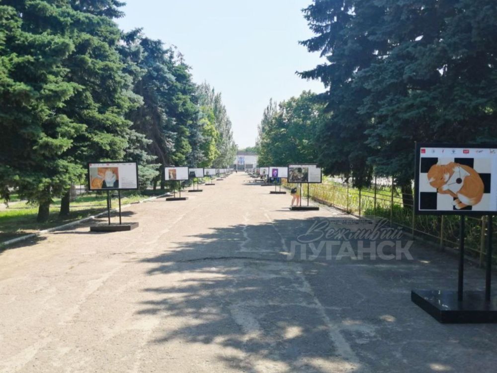 � ����� ����� ���������� ������� �������� � ����������� ������