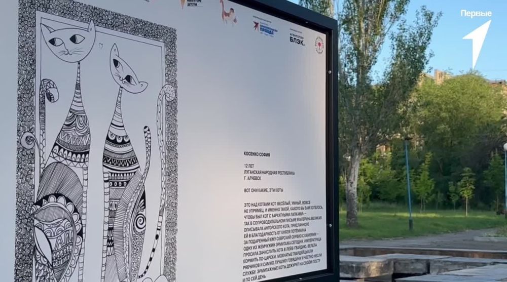Луганский детский парк имени Щорса украшают портреты Эрмитажных котов