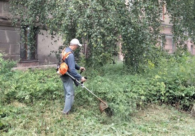 28 ���� ����������� ��� �������������� ������ �������� ��л ��������� ������ �� ������ ������������� ������ � �������� ���, ������������� �� ���������� ������