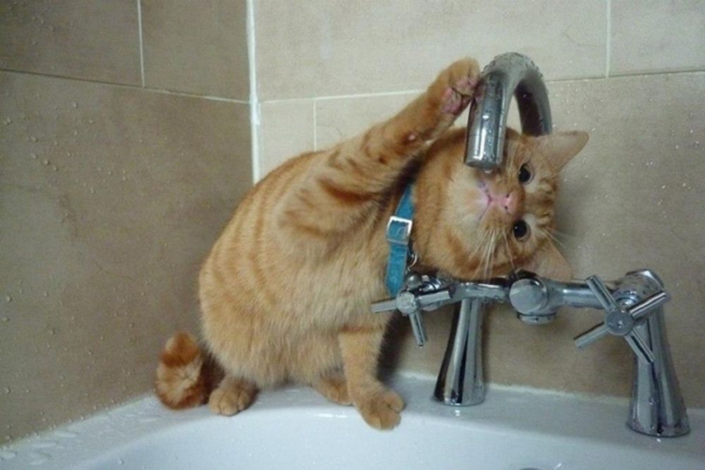 ������������� ���� ���� �������� ����� ������������ �� ������ �������� ���