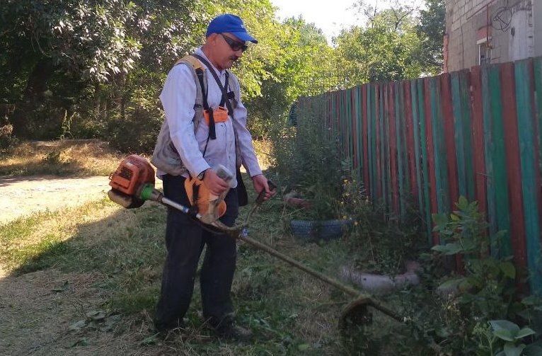 20 ���� � �������� ������������ ������ �� ������ �����