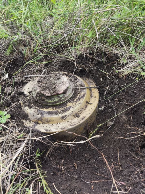 ��� ������ ��� ����������� ���. � ������ ���������� ������������� ��������� ���������� ��������� ��� ����� � �������� �� ���������: