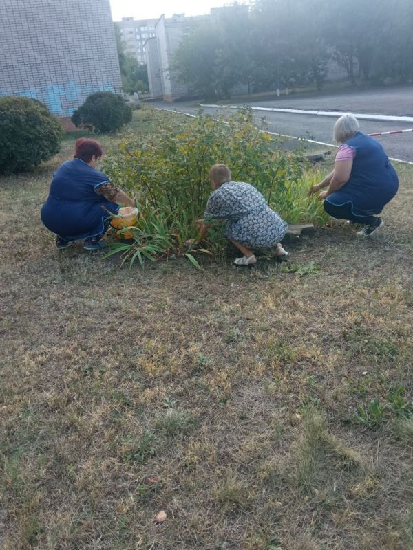 �������� ��������� ���������� ������������� - ���������������� ����� ������������� � ����� "�������� ������" #����������� #������������