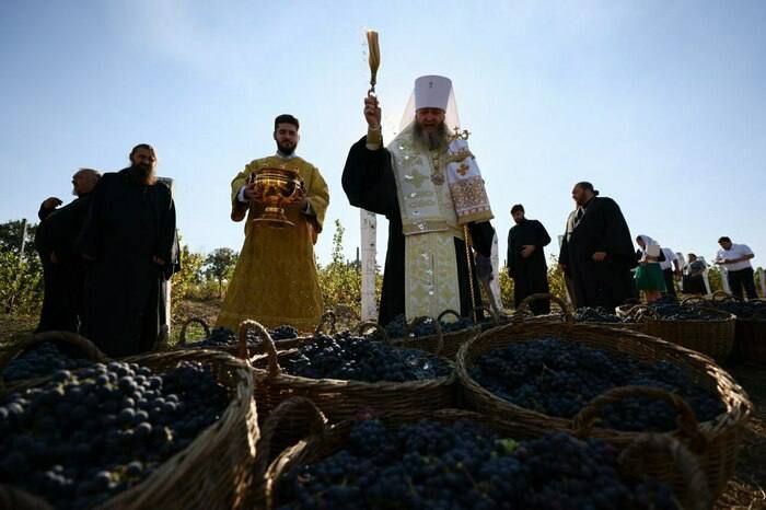 Митрополит Луганский и Алчевский Пантелеимон освятил первый урожай винограда на винограднике предпринимателя Константина Савина, расположенном в селе Бугаевка Перевальского района, передает корреспондент ЛИЦ