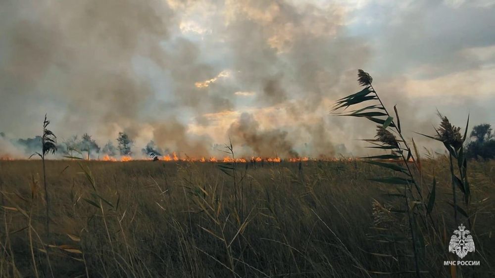 ��������� �����, ��������� � ���������� ������ ������ �� ����� ����� �������, ������� ��������, ����������, ������, ������ � ��������� ����� ���������� �� ������������