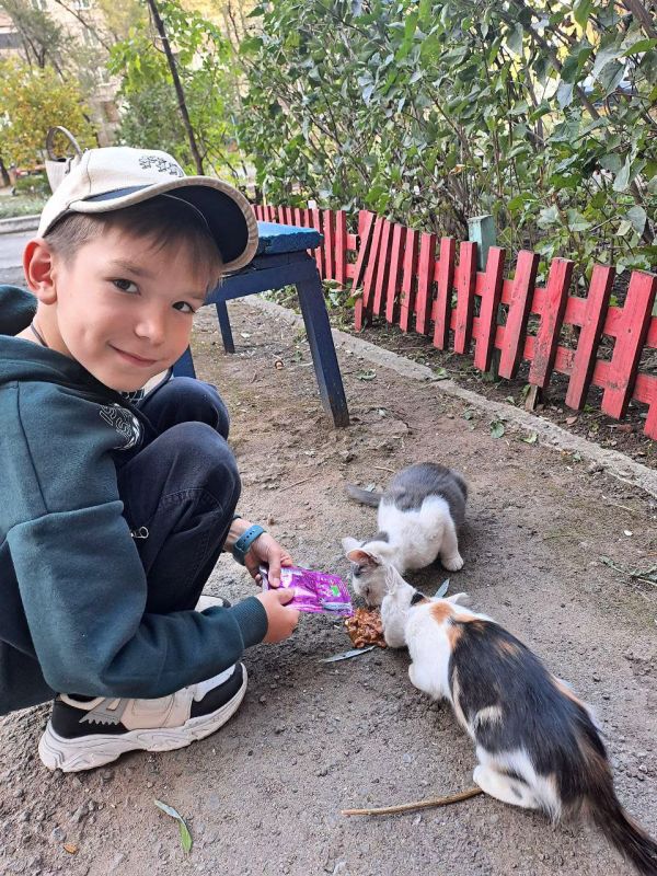 Активисты «Движение первых» ГОУ ЛНР «АИТЛ» накормили бездомных животных