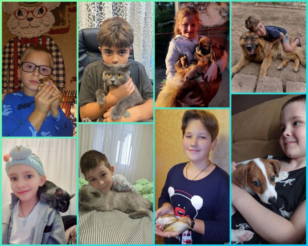 В Алчевском информационно-технологическом лицее прошла онлайн фотовыставка "Никогда тебя не брошу!"