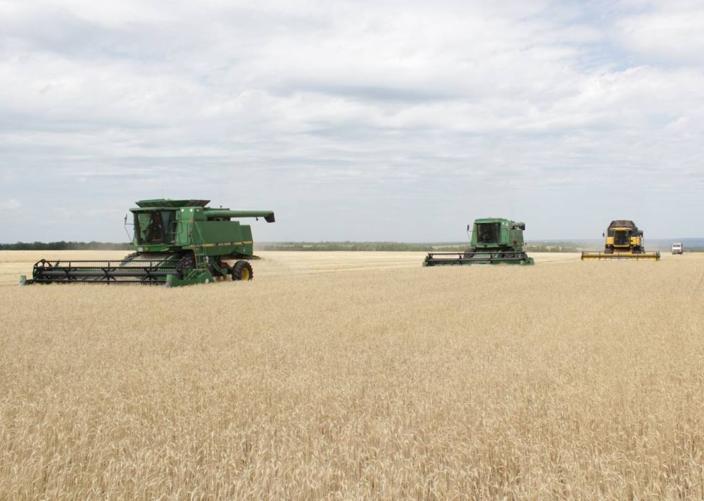 ������ ��������: ���������� ������������ ����� ��������, ���, ��� �������� �� �����