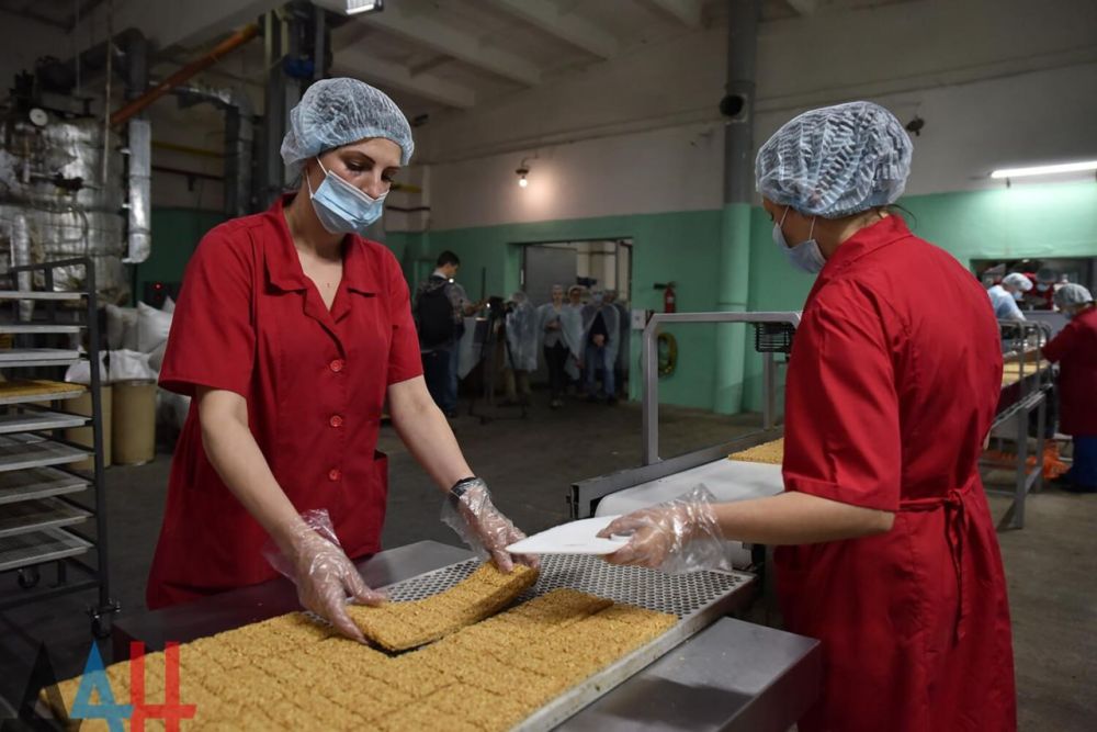 Правительство запустило грантовую поддержку МСП в новых регионах