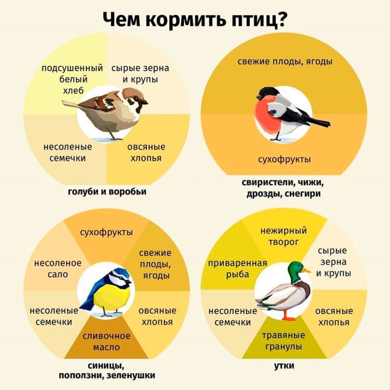 ��� ������ �������� ���� ������?