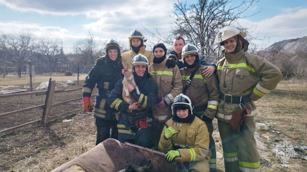 Кот, благодаря сотрудникам МЧС ЛНР, остался жив