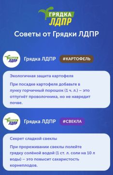 Полезные советы по уходу за огородом от "Грядки ЛДПР"