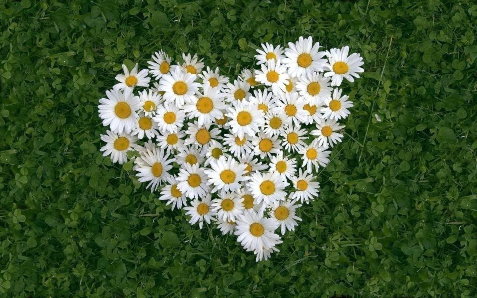  , !.   ,     ,    ,   ,    , ,      ,  ...