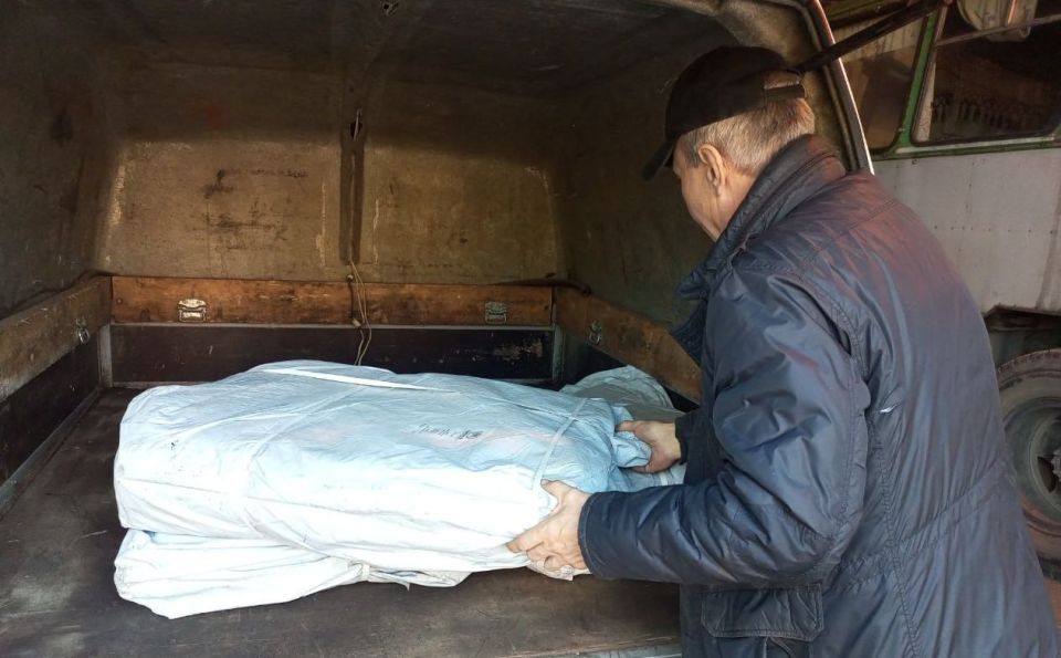  :  ,                 ,   