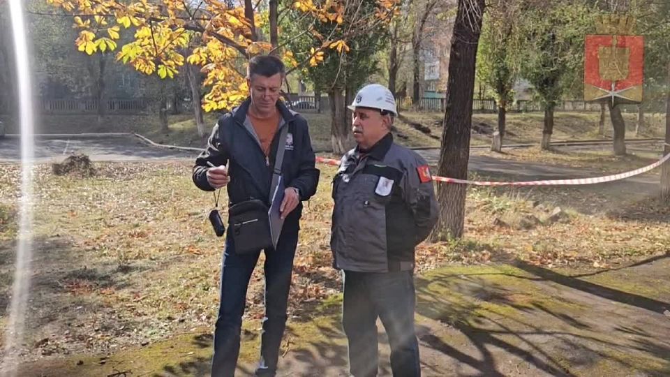  :        ,        ..  -       ...