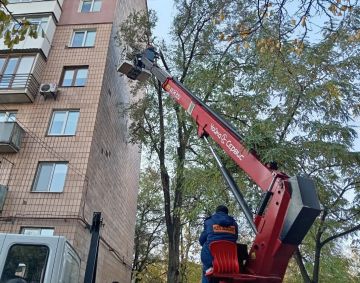 Коммунальные службы проводят работы на территории города