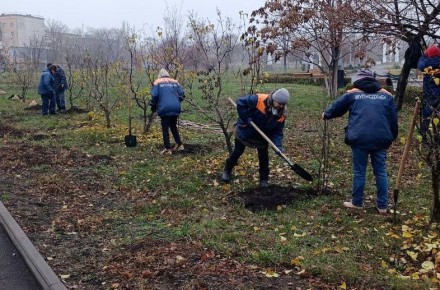 Коммунальные службы проводят работы на территории города