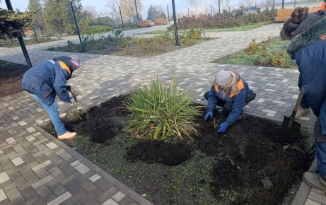 Коммунальные службы проводят работы на территории города